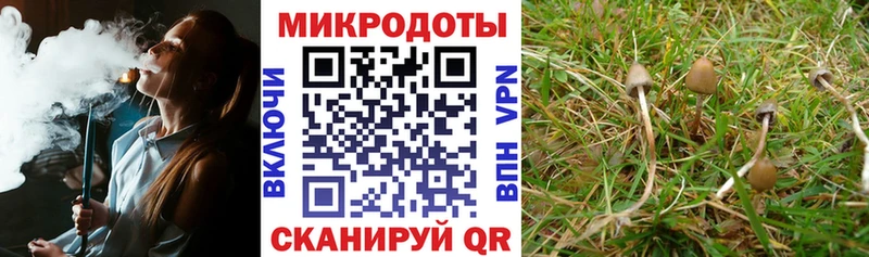 Псилоцибиновые грибы прущие грибы  Чишмы 